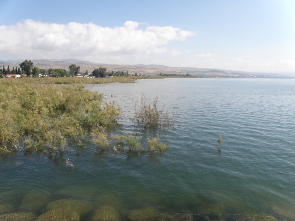 Shore of the Sea of Galilee / Břeh Galilejského jezera