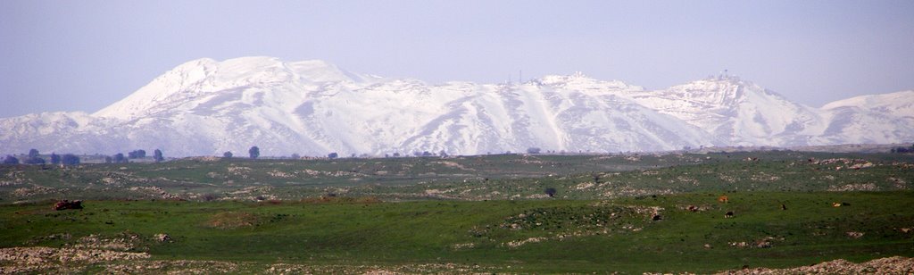 Hermon