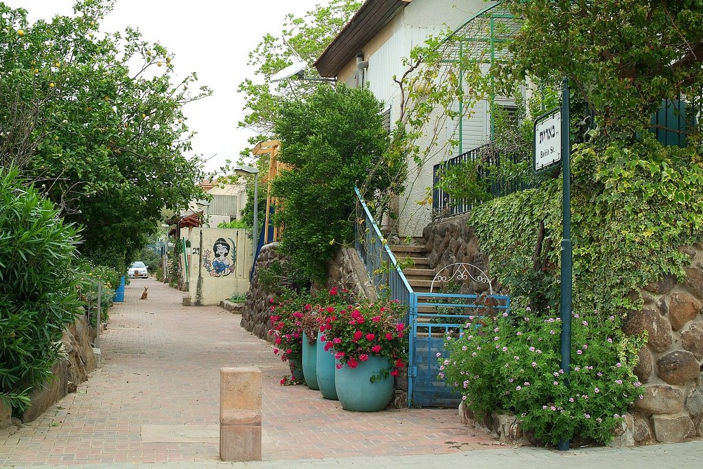 Israel.Qatsrin.Berit st.