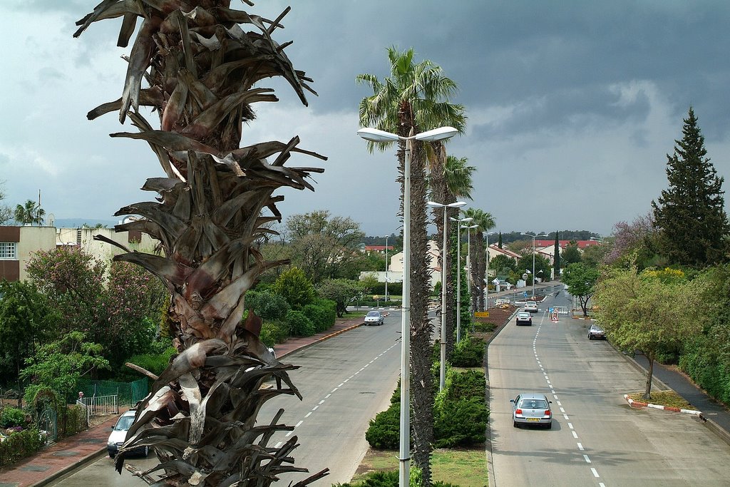 israel.qatserin