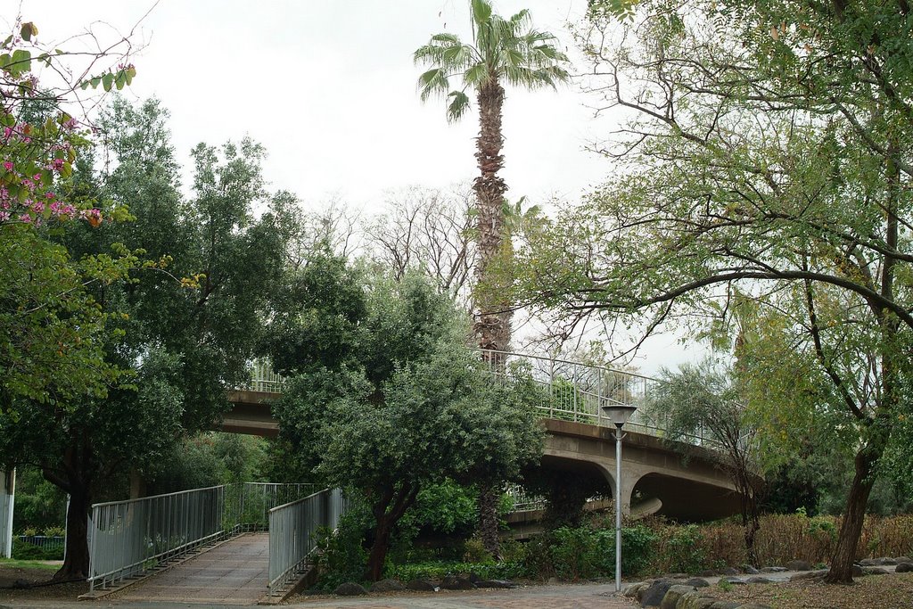 israel.qatsrin.