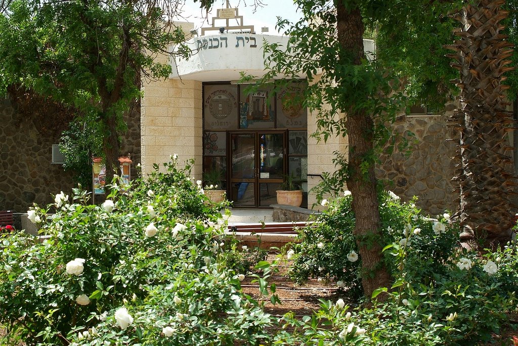 israel.qatsrin.