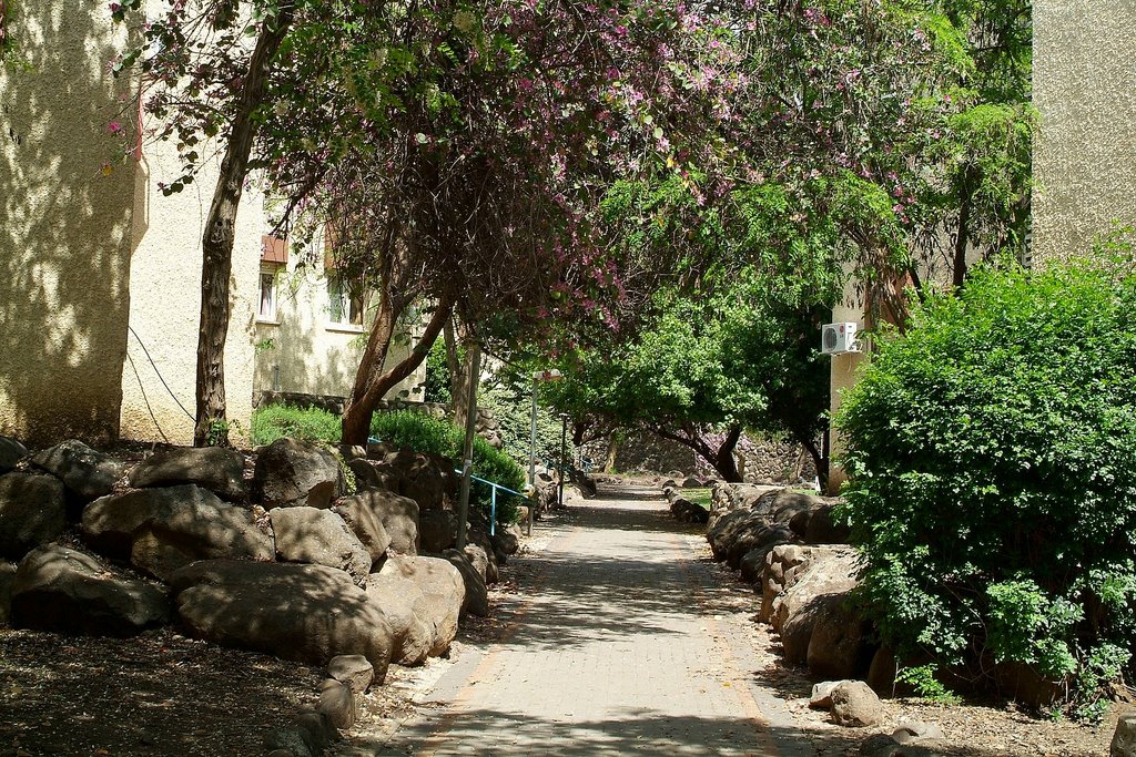 israel.qatsrin.