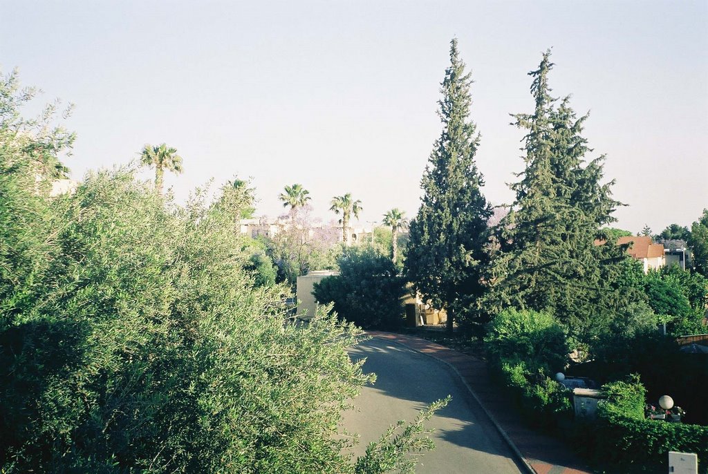 Qatsrin Shizaff
