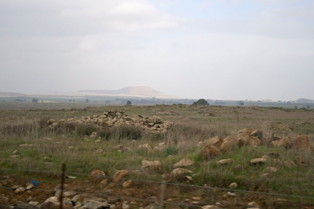 Golan Heights, near Gamla