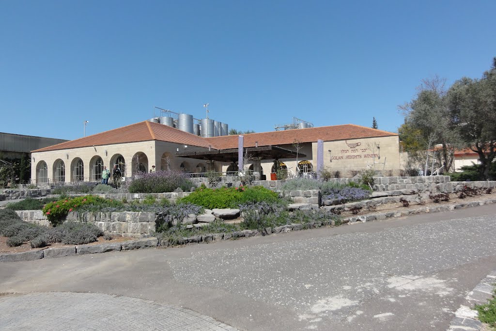 Golan Heights Winery