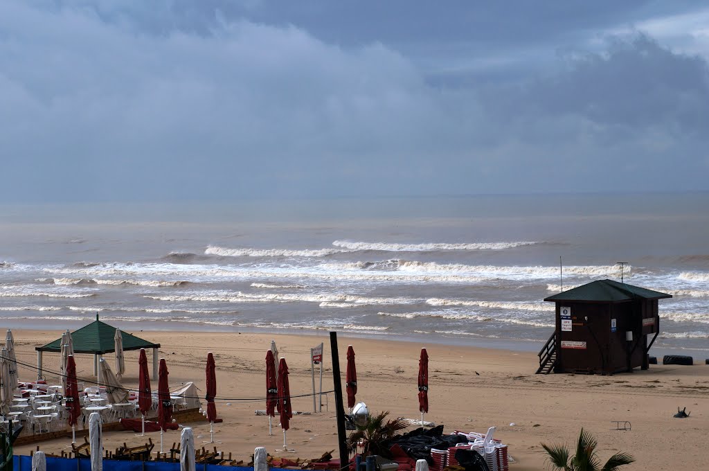 Winter in Rishon Lezion .December 2013