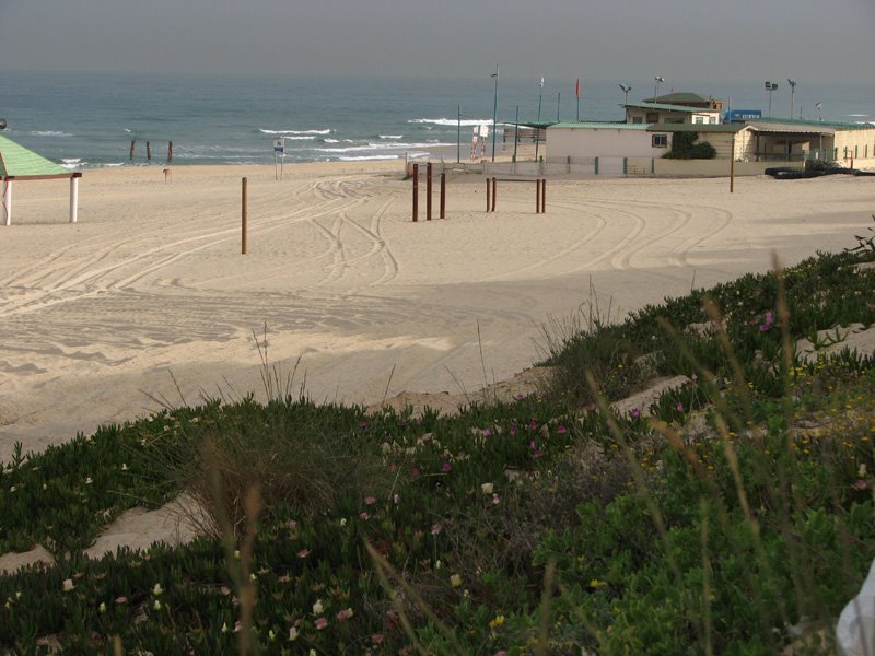 Reshon Le Ziyyon beach