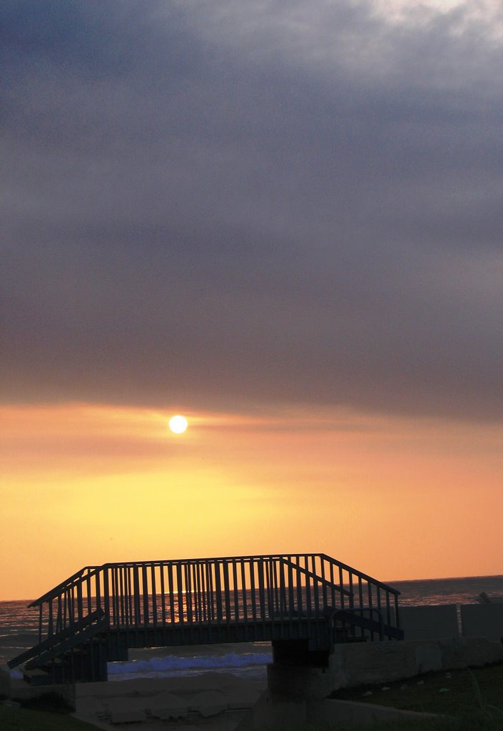 The bridge