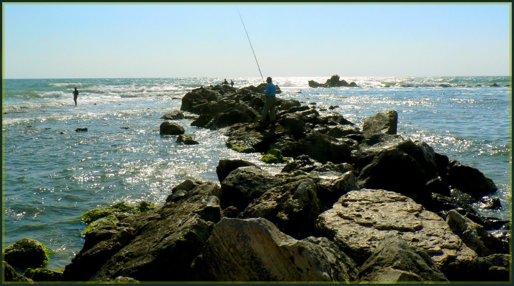 Fishing in backlight