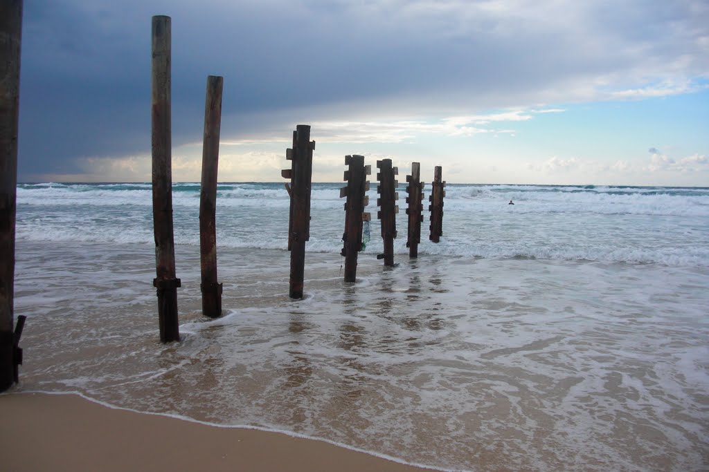 Winter day on Sea shore, foggoten fences