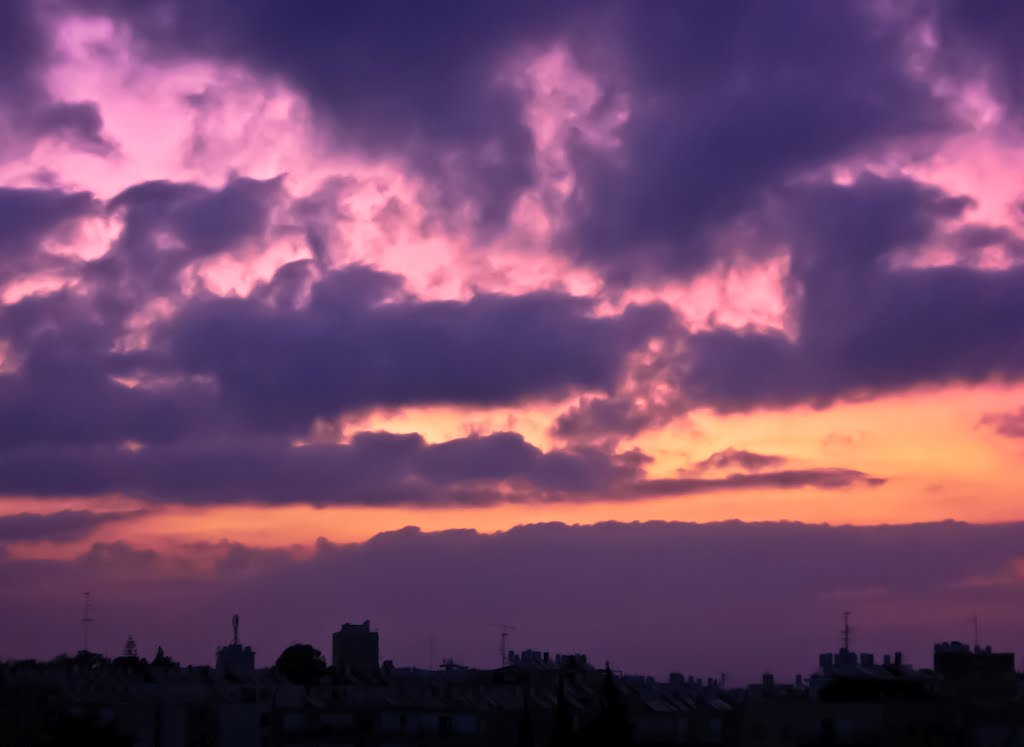Purple sky