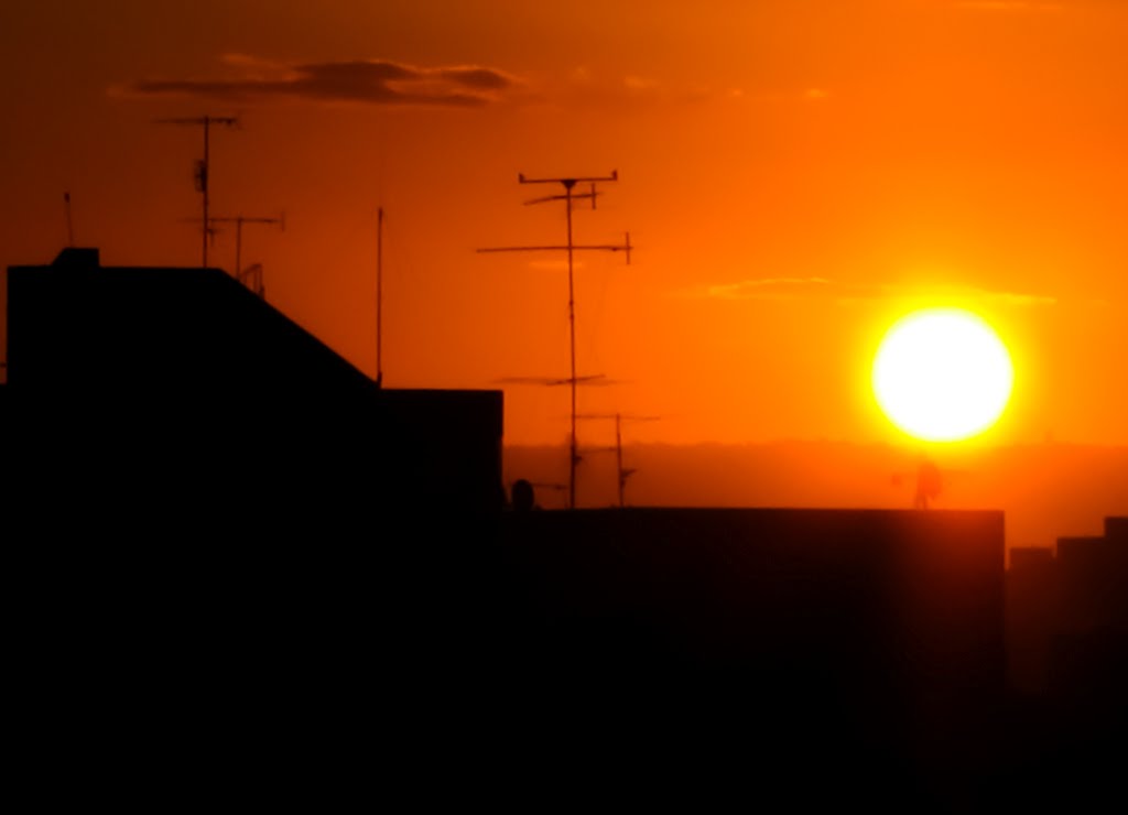 Sunrize