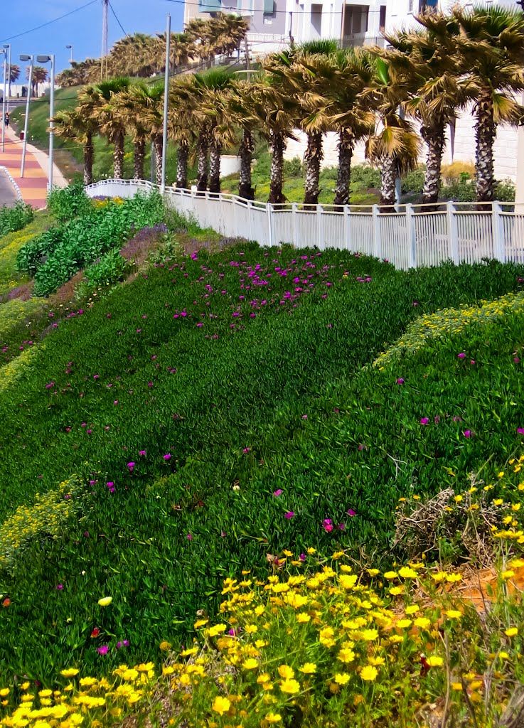 Green promenade