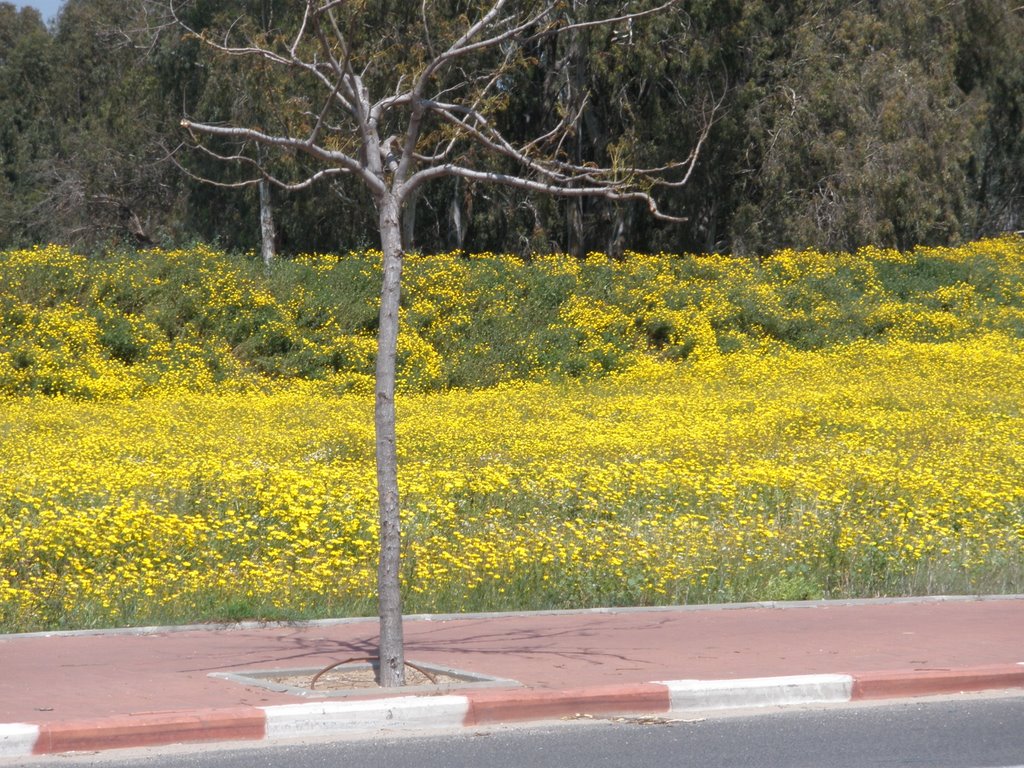 spring at sidewalk