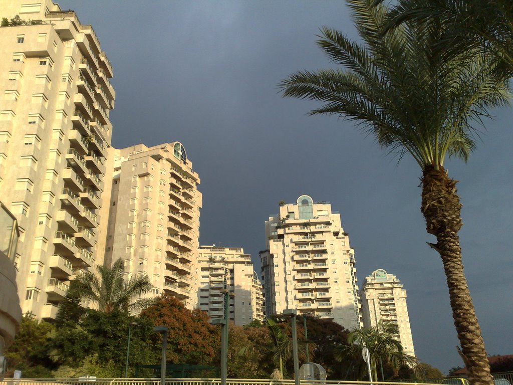 Tsamarot highrises, Herzlia, Nov. 2009