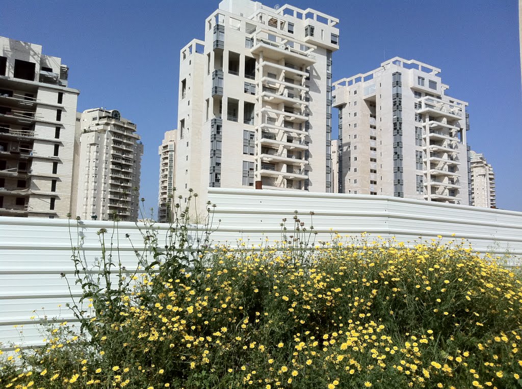 New highrises Alon quarter, Ramat Hasharon, April 2011