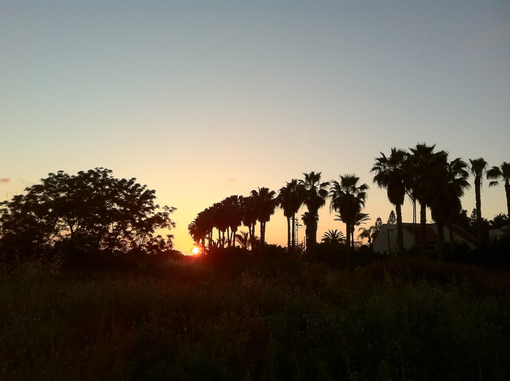 Sunset, Strawberry Fields, Ramat Hasharon, May 2011