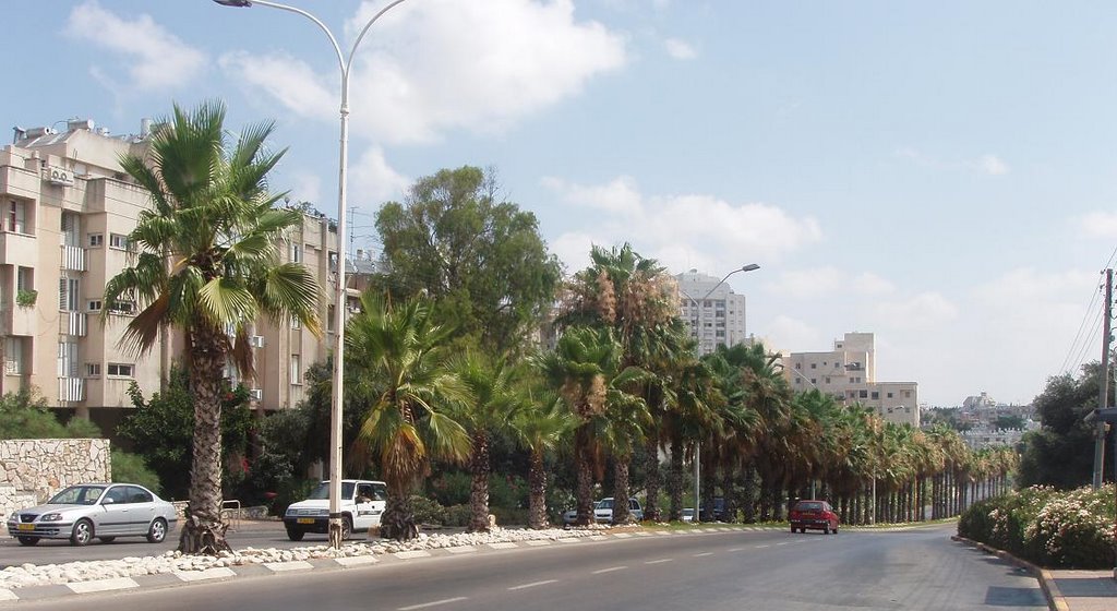 main road ramat hasharon israel