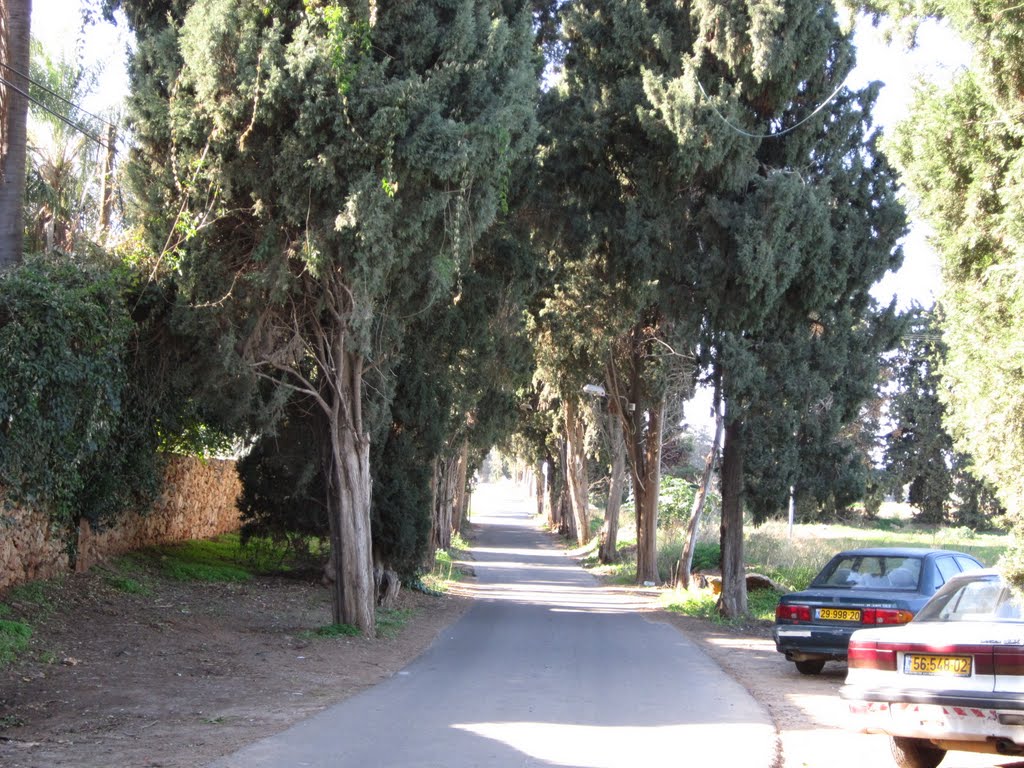Yavne Road on edge of Gan Rashal 2011Dec