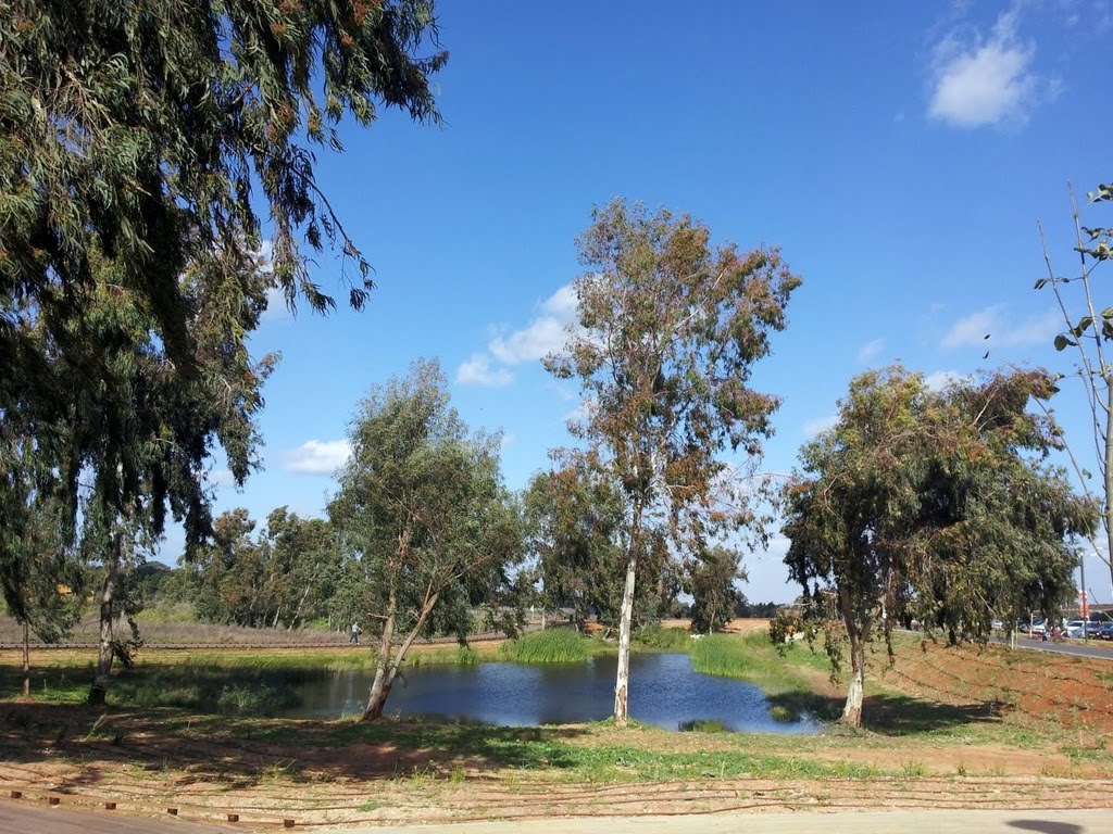 Herzlyia Park, Israel