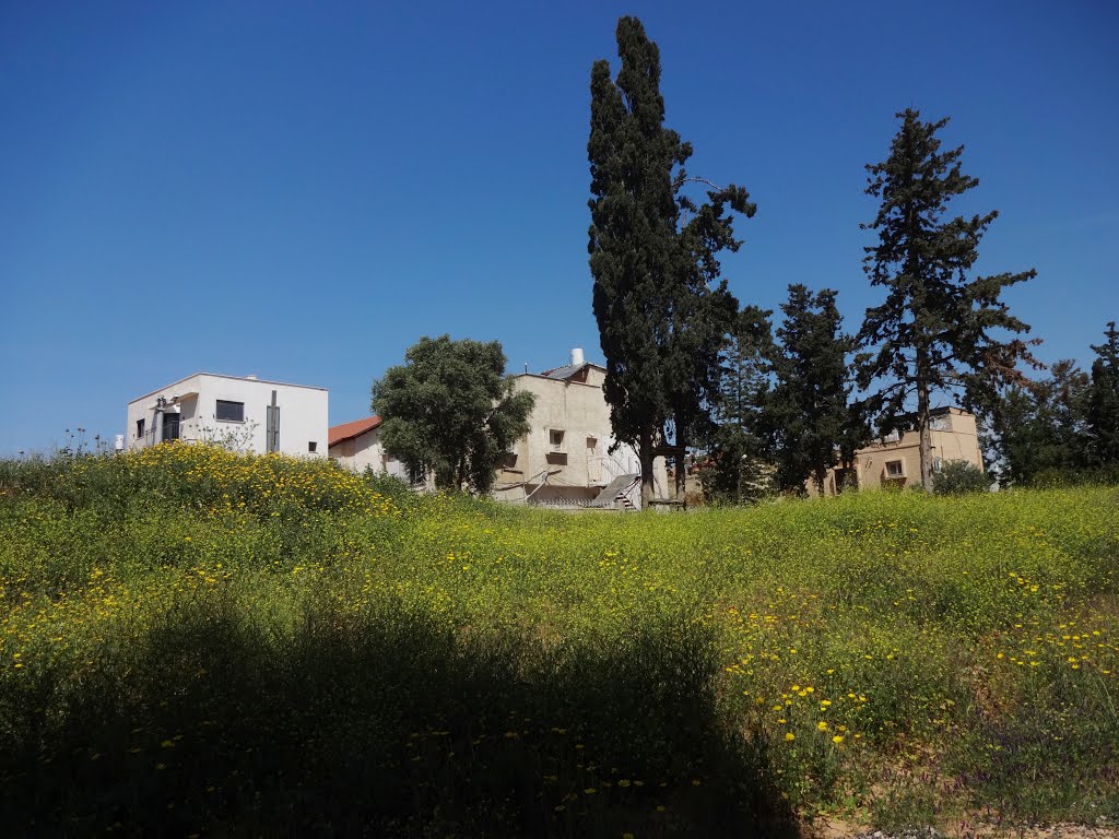 Houses from University