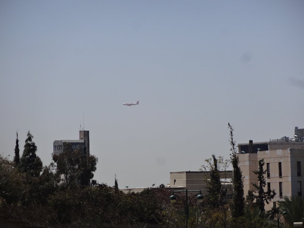 Plane מטוס