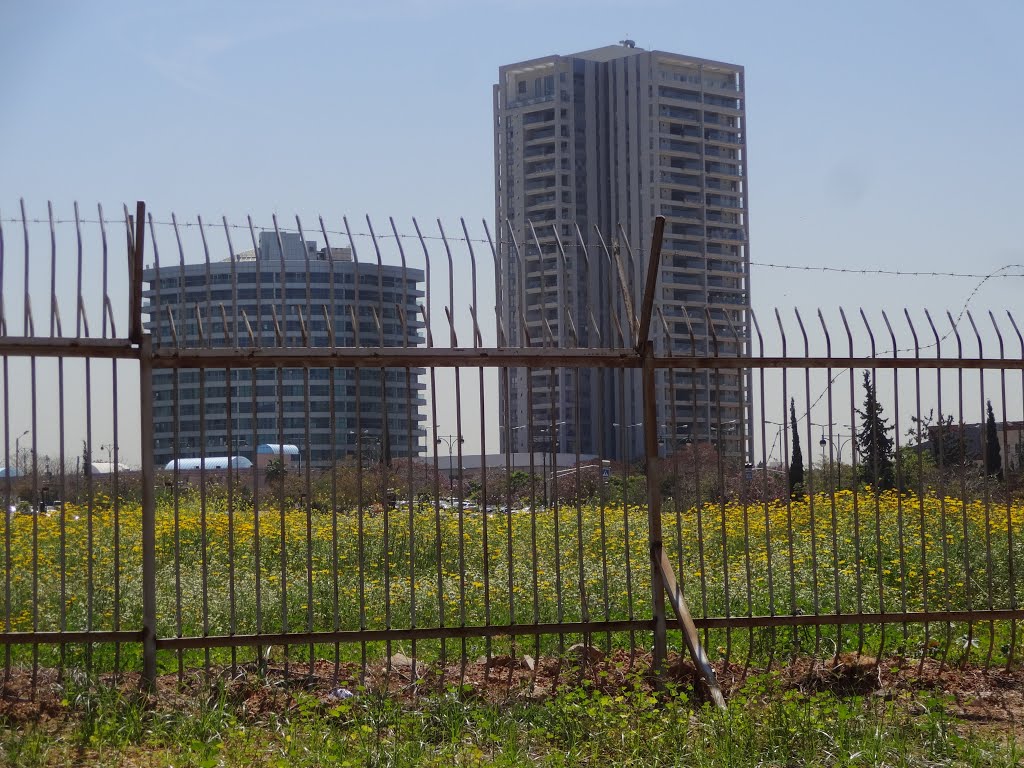 View Over Fence
