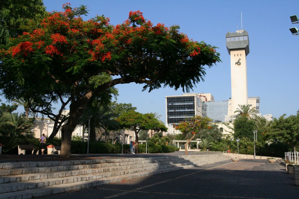 Bar Ilan University, the new "Nanaotech" buildings under construction