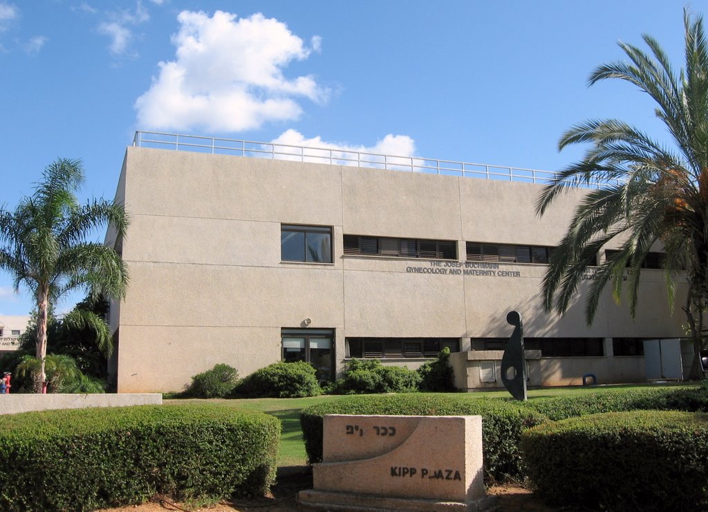 Tel Hashomer Maternity Center 2009