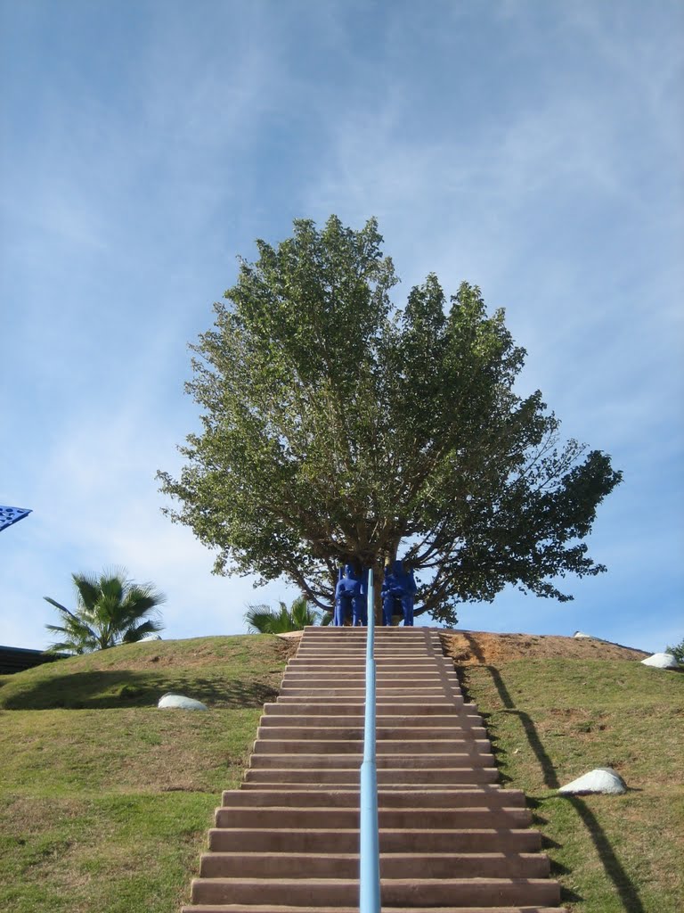 Lone Tree, Ricefeld, Qiryat ono