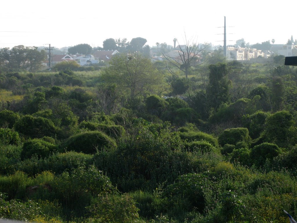 Givat Shmuel