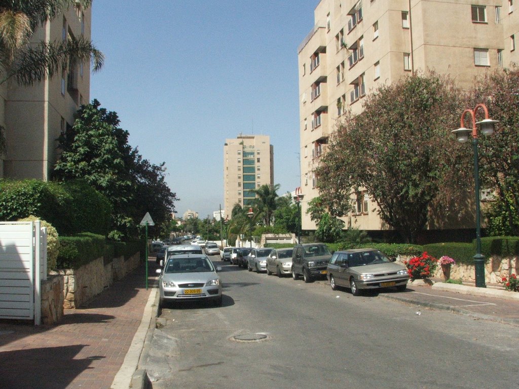 Brener Street