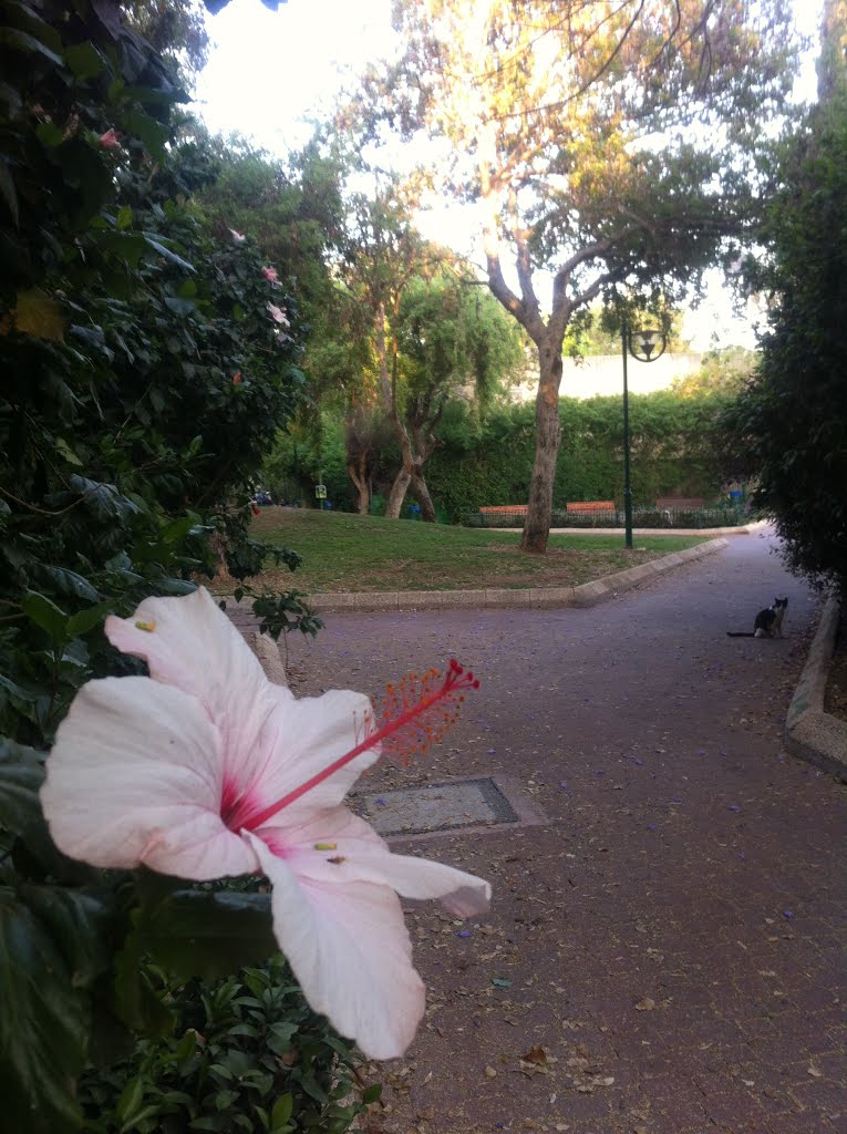 The Gate for Moses Garden  Ramat Gan