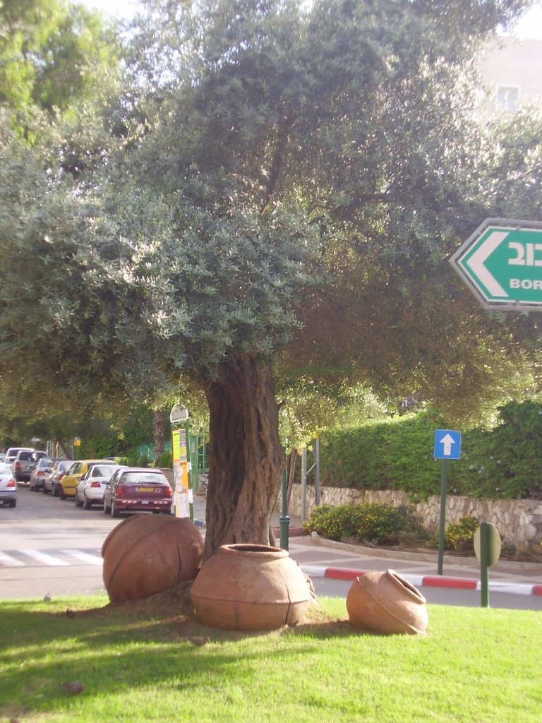 NICE PLACE IN GIVATAYIM-ISRAEL