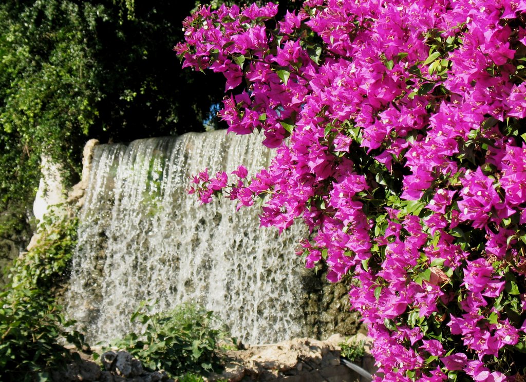 FALLS