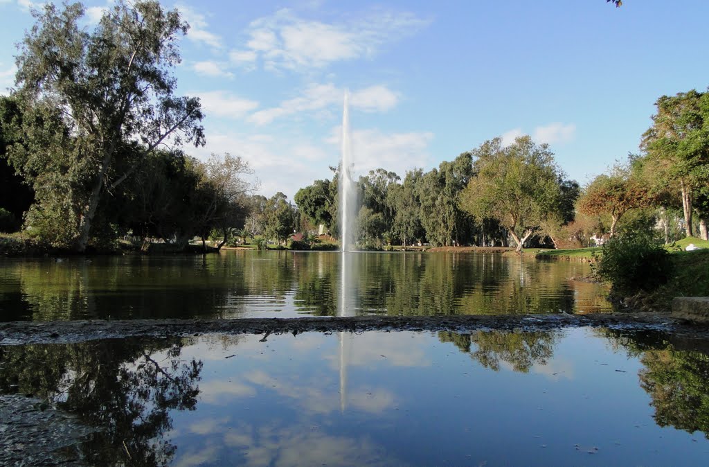 REFLECTION LAKE