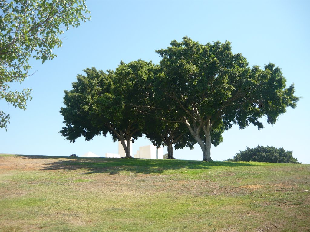 white hill, Tel - Aviv, Israel