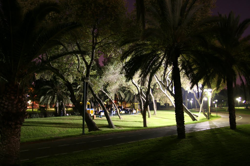 HaYarkon Park at night
