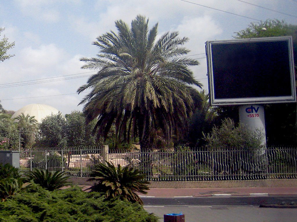 Eretz Israel Museum