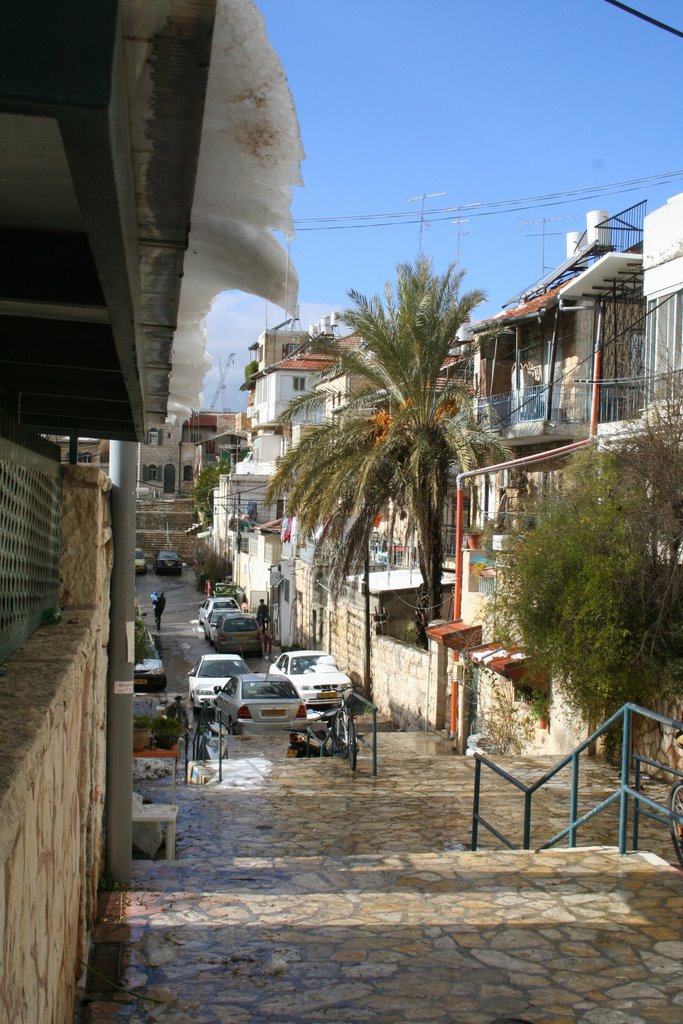 Jerusalem, First snow of 2008, Palm tree in Nachlaot, Melting snow & the new hanging bridge under construction