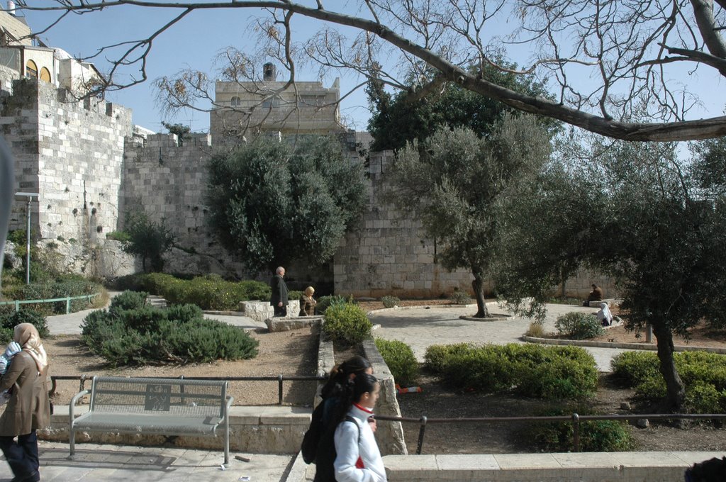 Wall of Old Jerusalem