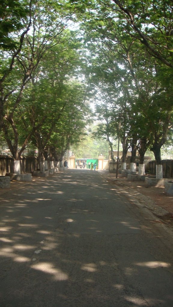 St. Patricks School Driveway in Asansol India