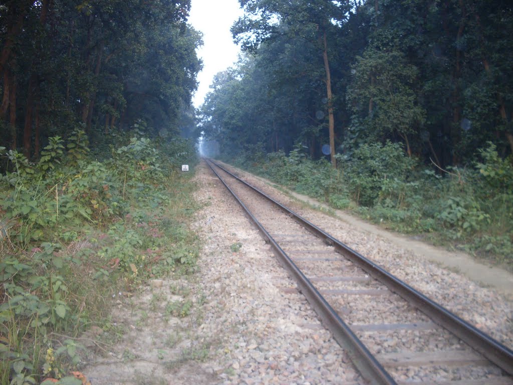 Metre Gauge Track, near Mailani Junction