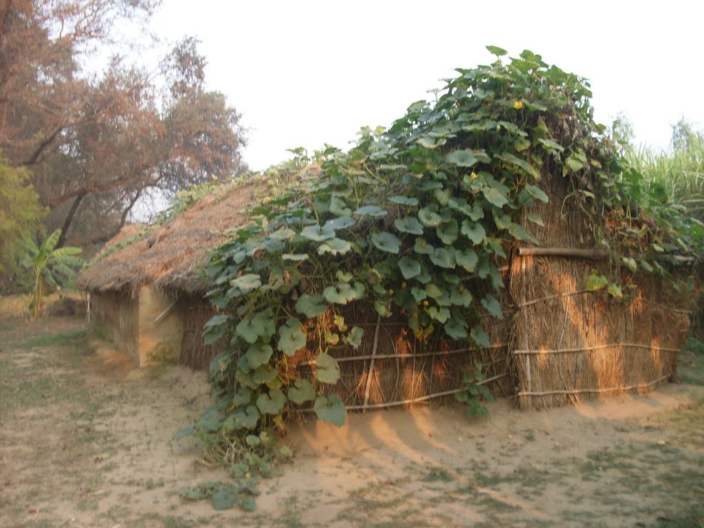 A hut near Mailani