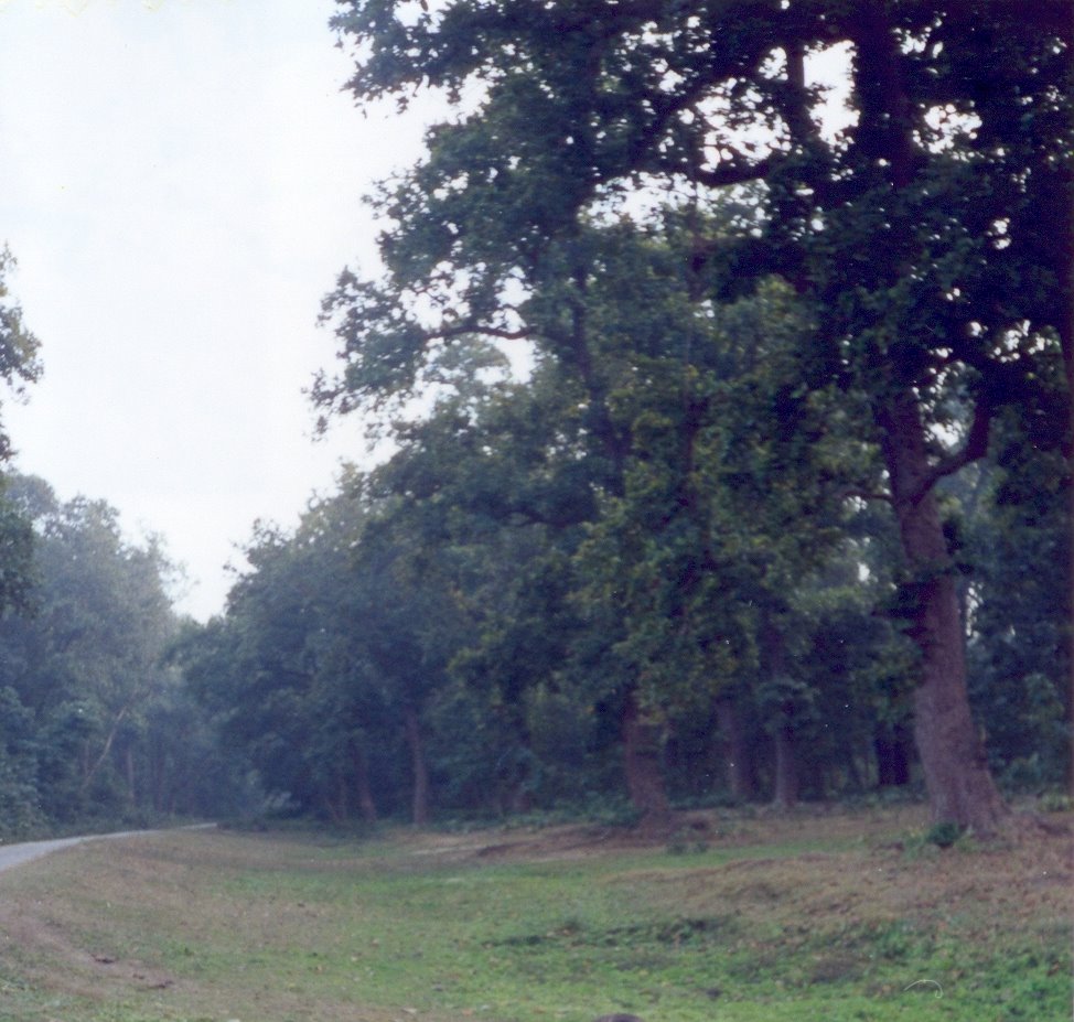 Mailāni