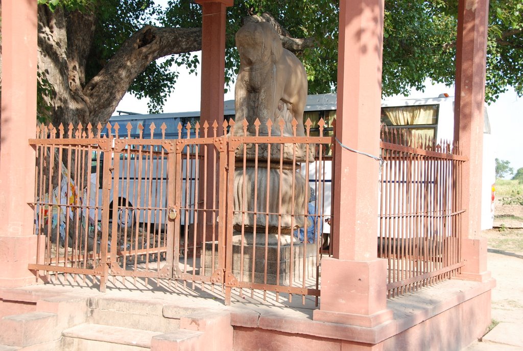 Nadrālā