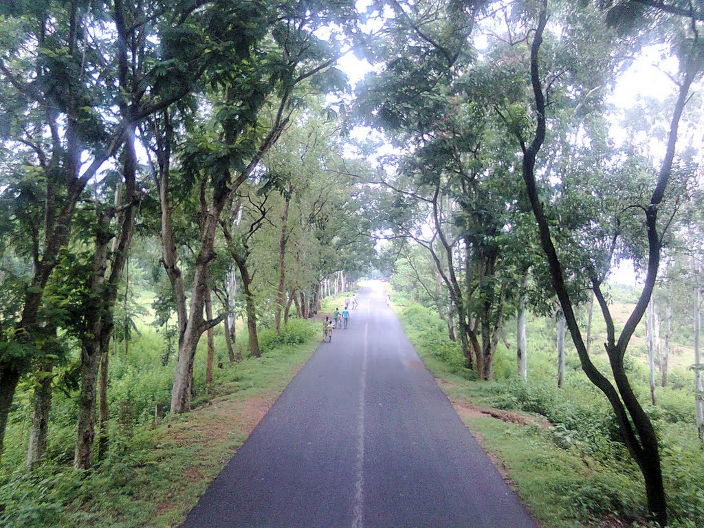Road to Mukutmanipur dam