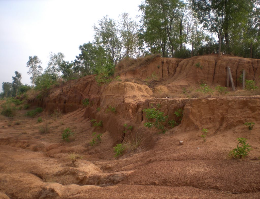 Red Soils of Birbhum, West Bengal