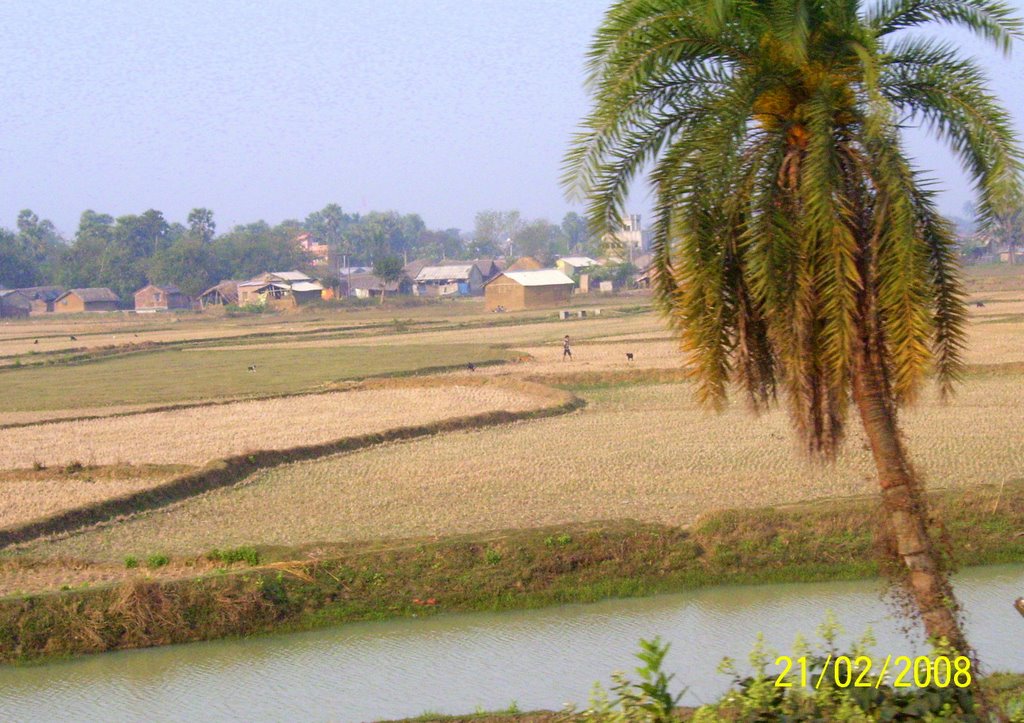 a village from train